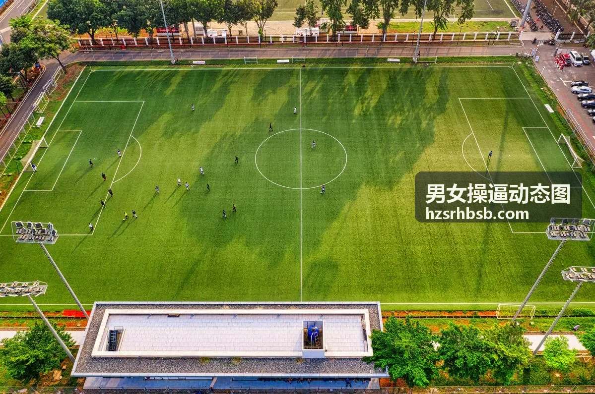 高清动图分类
