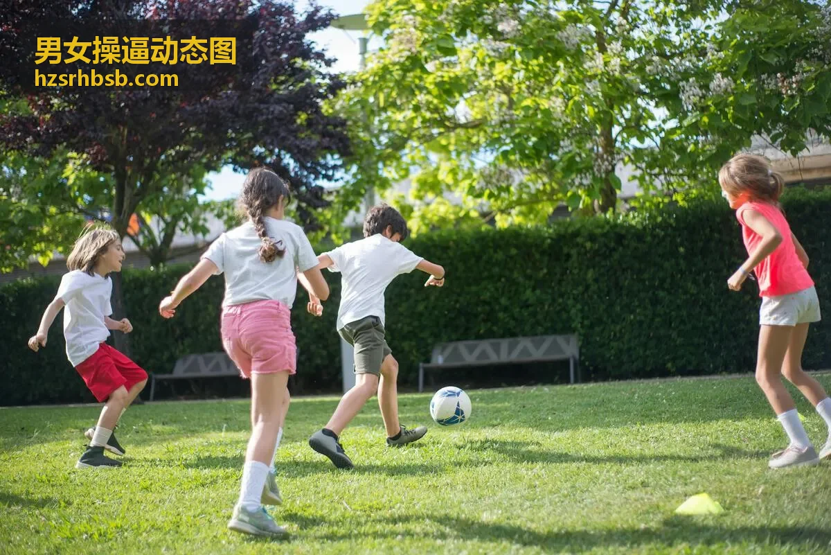 无水印专区分类